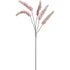 Bloem Phytolacca Roze