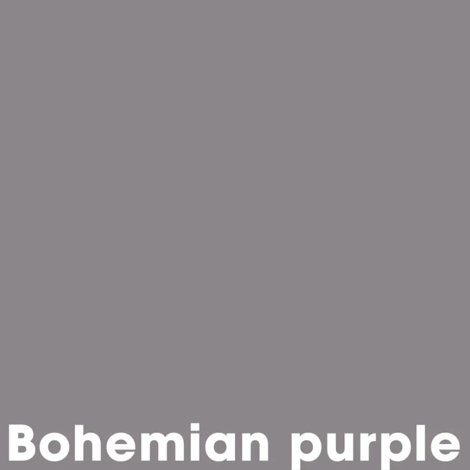 Muurverf Professional Bohemian Purple 1 L