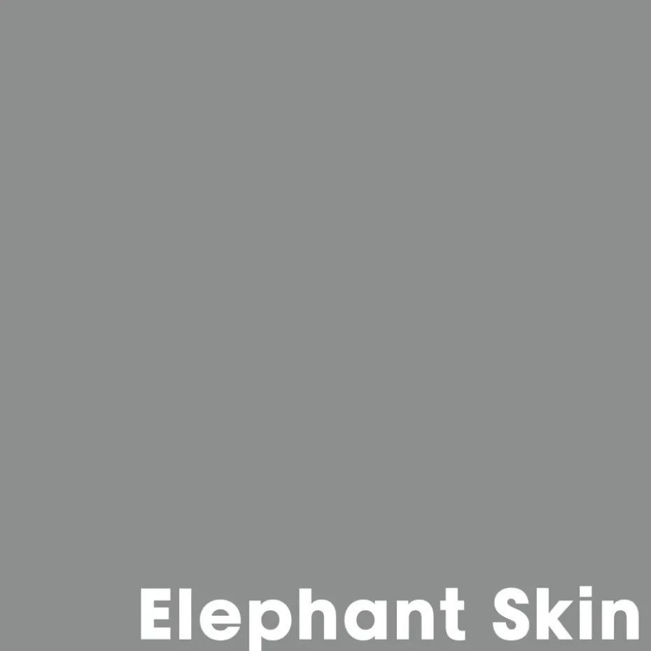 Muurverf Professional Elephant Sin 1 L