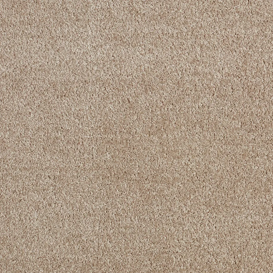 Tapijt Chard Beige