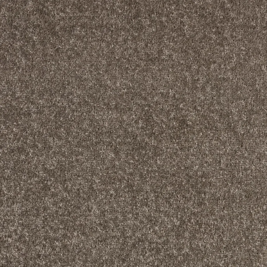 Tapijt Parker Taupe