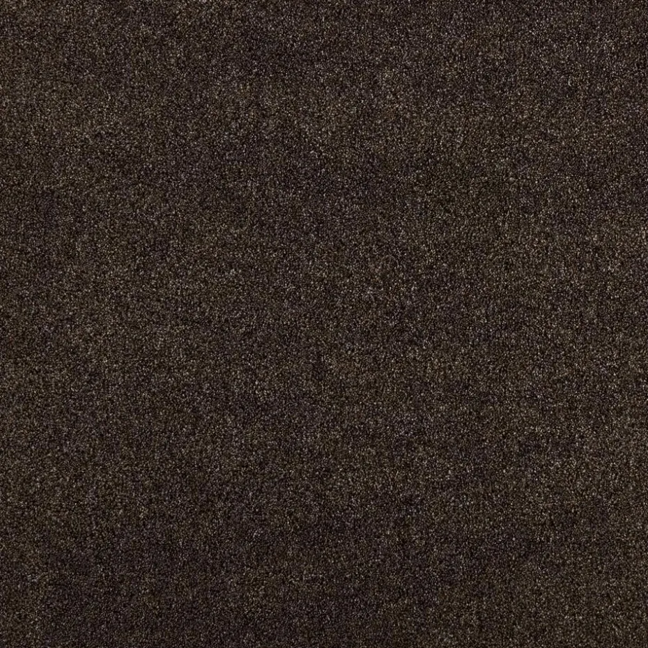 Tapijt Peetz Bruin